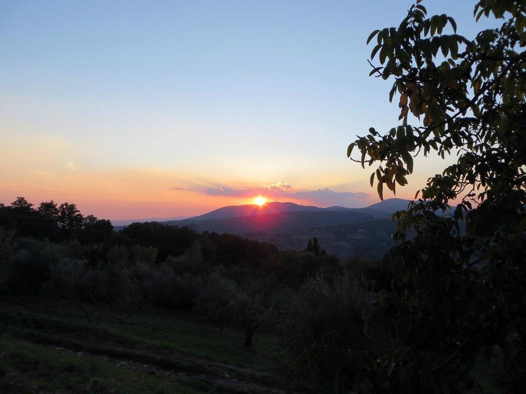 Hôtel Agriturismo Poggio Al Sole à Fiesole Extérieur photo